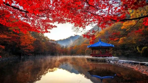 South Korea