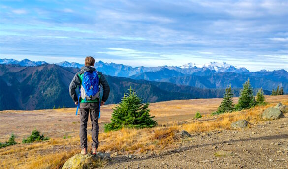 Travel Backpack Tips: Choose the Perfect Bag